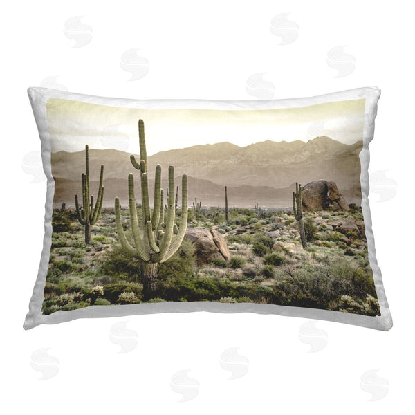 stupell industries Kim Allen | Cactus in Arid Desert