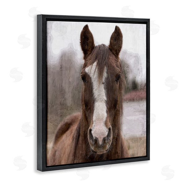 Stupell Industries Kim Allen | Colt Horse Portrait
