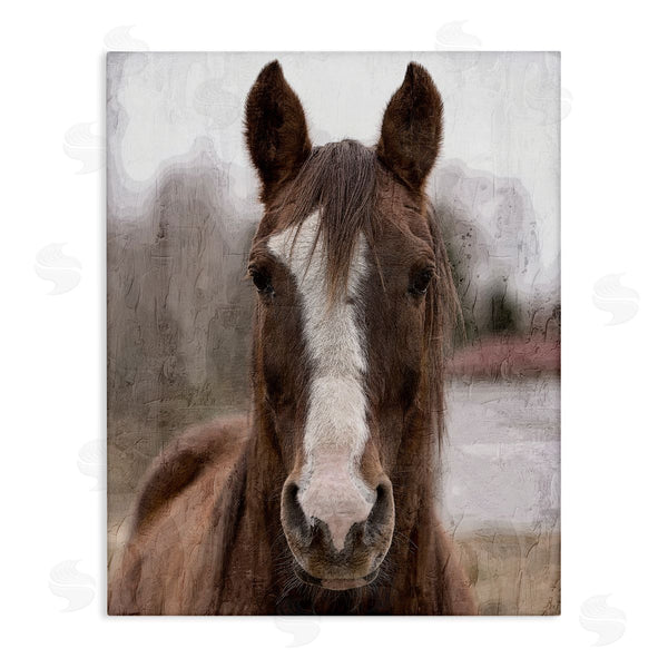 stupell industries Kim Allen | Colt Horse Portrait