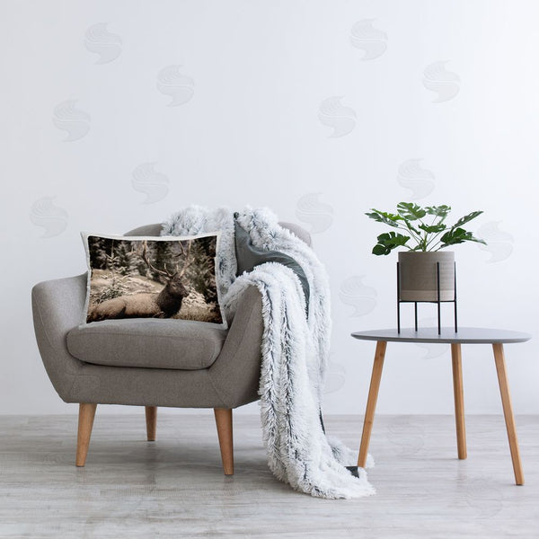 Stupell Industries Kim Allen | Forest Elk Portrait