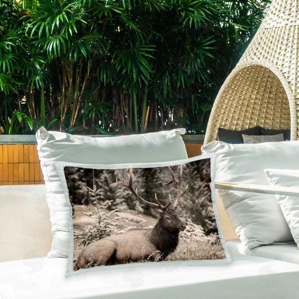 Stupell Industries Kim Allen | Forest Elk Portrait