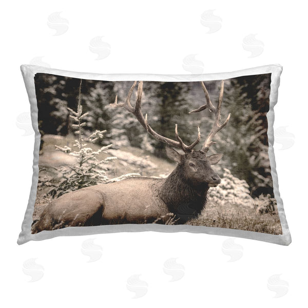 stupell industries Kim Allen | Forest Elk Portrait