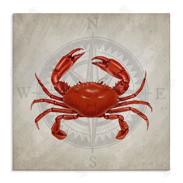 stupell industries Kim Allen | Red Crab over Compass