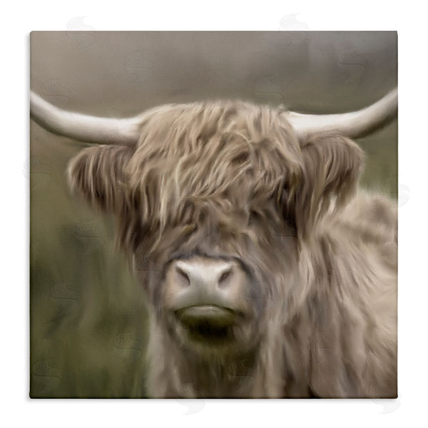stupell industries Kim Allen | Soft Highland Cow
