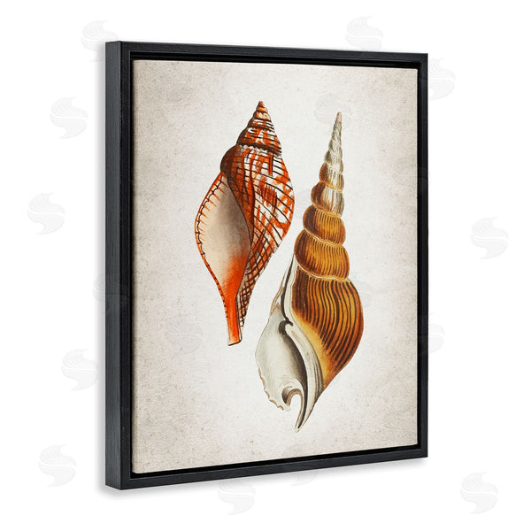 Stupell Industries Kim Allen | Twin Spiral Seashells