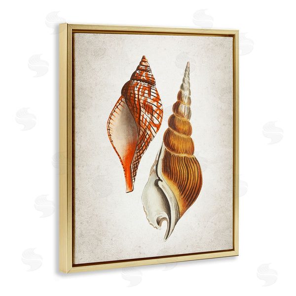 Stupell Industries Kim Allen | Twin Spiral Seashells