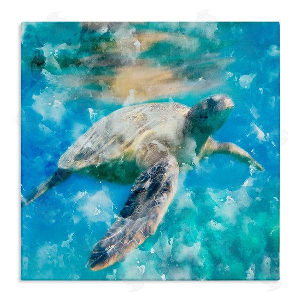 stupell industries Kim Allen | Underwater Sea Turtle