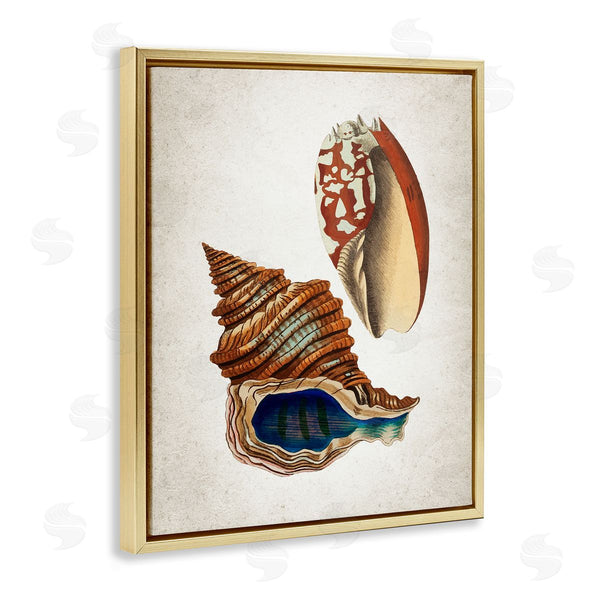 Stupell Industries Kim Allen | Vintage Seashell Duo