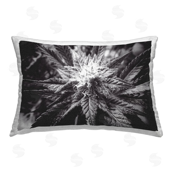 Stupell Industries LIH | Dark Cannabis Flower