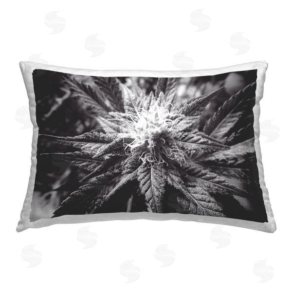 stupell industries LIH | Dark Cannabis Flower