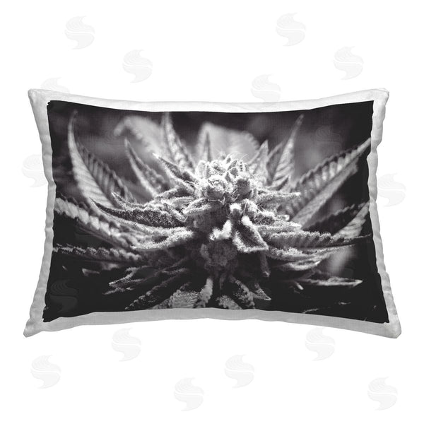 stupell industries LIH | Monochrome Cannabis Flower