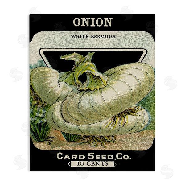 stupell industries Lil' Rue | Vintage Gardening Onion