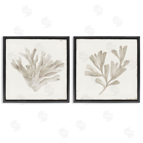 Stupell Industries Lily K. | Beige Coral Drift