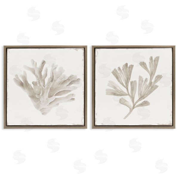 Stupell Industries Lily K. | Beige Coral Drift