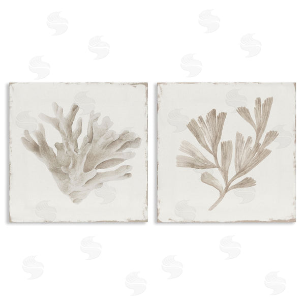stupell industries Lily K. | Beige Coral Drift