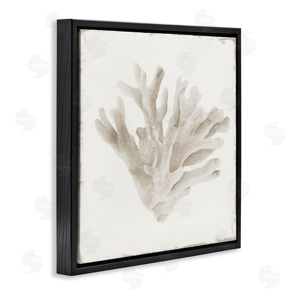 Stupell Industries Lily K. | Sandy Coral Drift