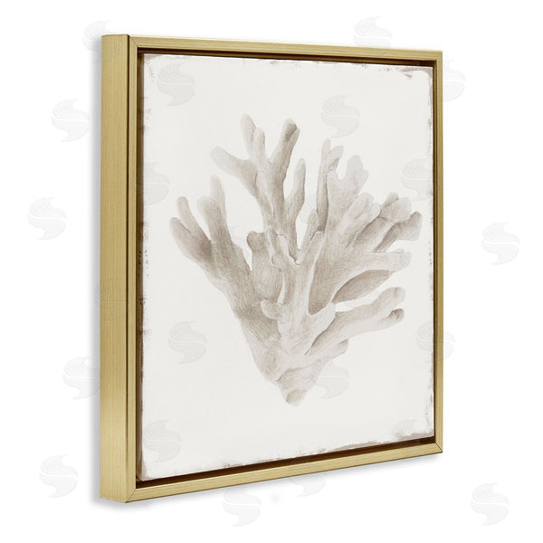 Stupell Industries Lily K. | Sandy Coral Drift