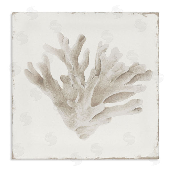 stupell industries Lily K. | Sandy Coral Drift