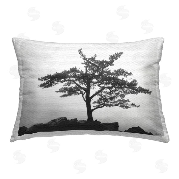 Stupell Industries Lori Deiter | Lone Tree On Rocks