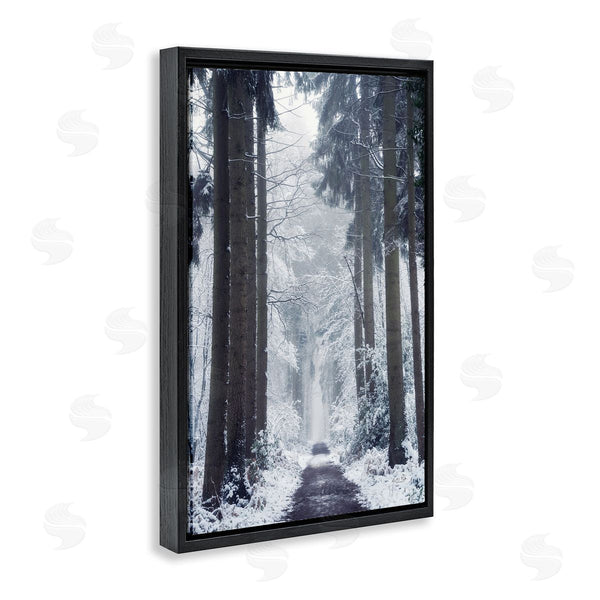 Stupell Industries Martin Podt | Winter Fir Path