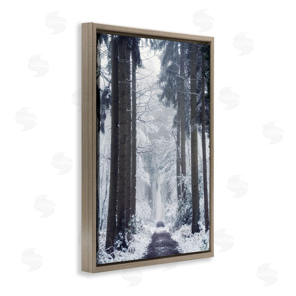 Stupell Industries Martin Podt | Winter Fir Path
