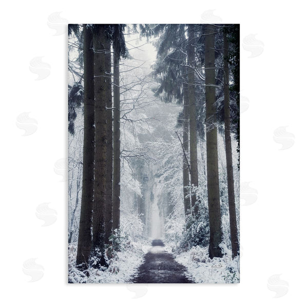 stupell industries Martin Podt | Winter Fir Path