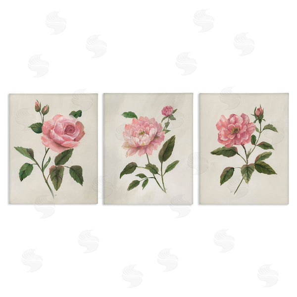 stupell industries Nan | Assorted Pink Flower Sprigs