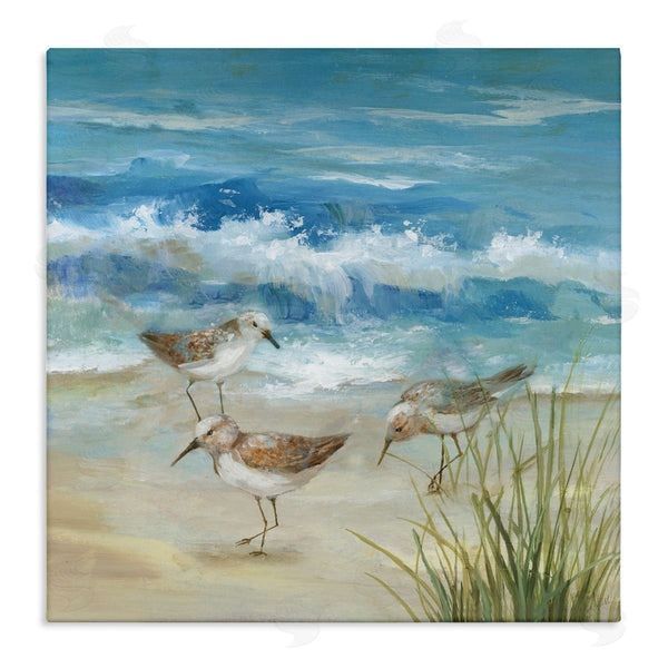 stupell industries Nan | Beach Sandpiper Gathering