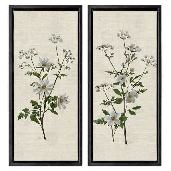 Stupell Industries Nan | Daisy & Apple Blossom Sprigs
