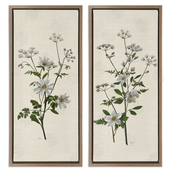 Stupell Industries Nan | Daisy & Apple Blossom Sprigs