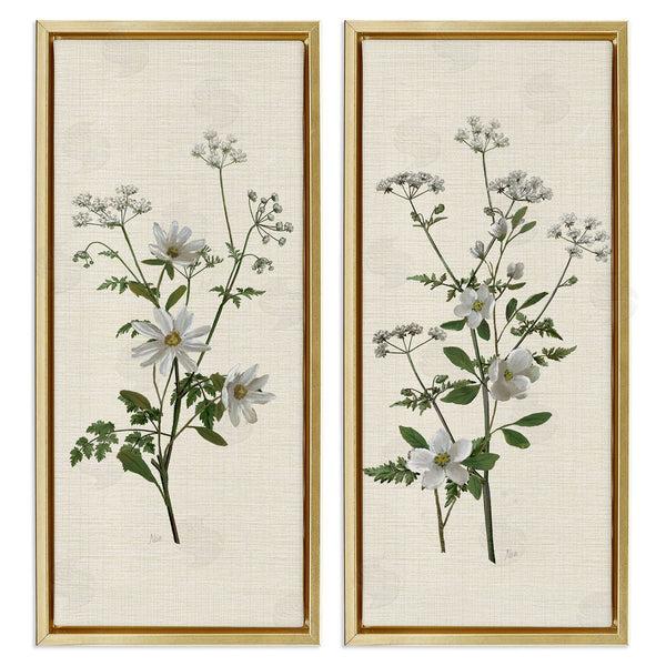 Stupell Industries Nan | Daisy & Apple Blossom Sprigs