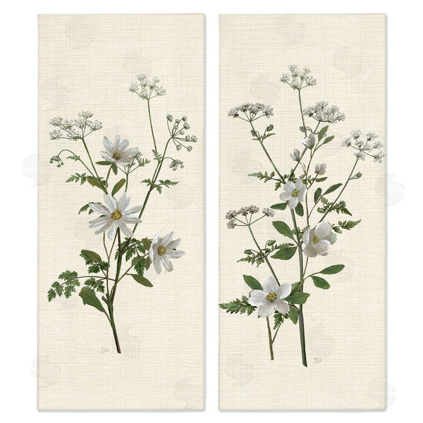 stupell industries Nan | Daisy & Apple Blossom Sprigs