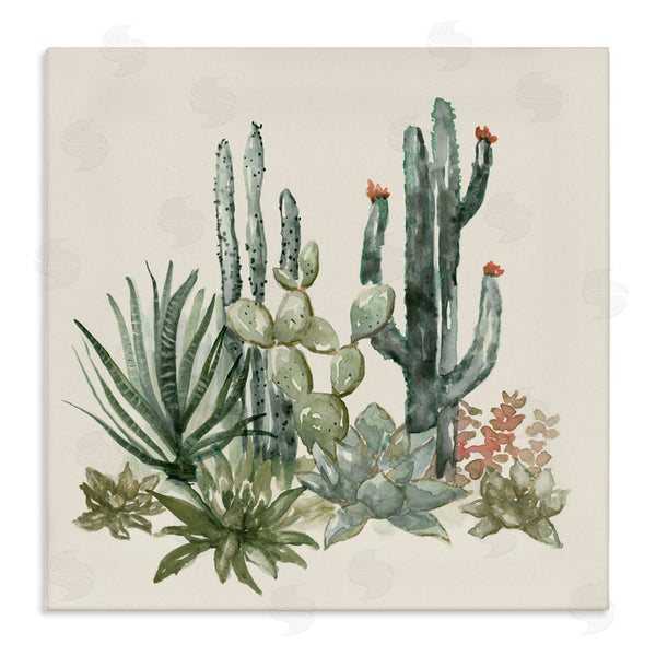 stupell industries Nan | Mojave Green Succulents