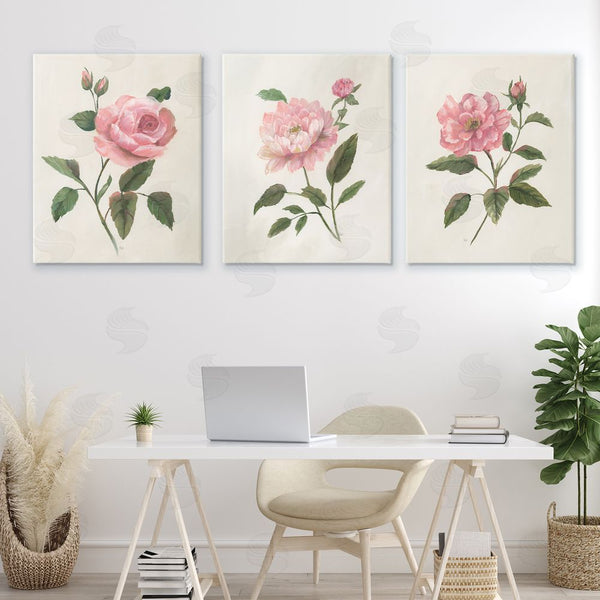 Stupell Industries Nan | Pink Rosie Rose Florals