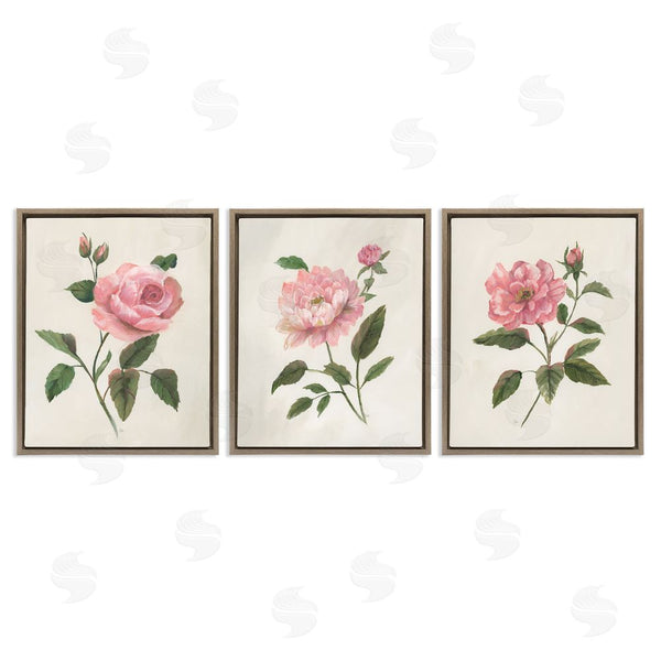 Stupell Industries Nan | Pink Rosie Rose Florals