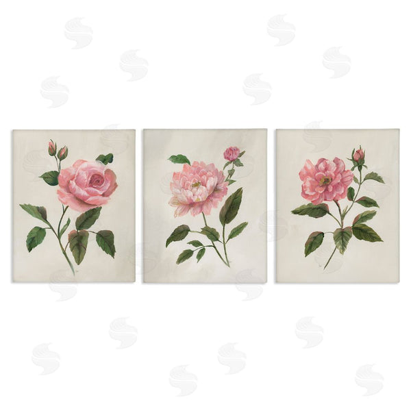 stupell industries Nan | Pink Rosie Rose Florals