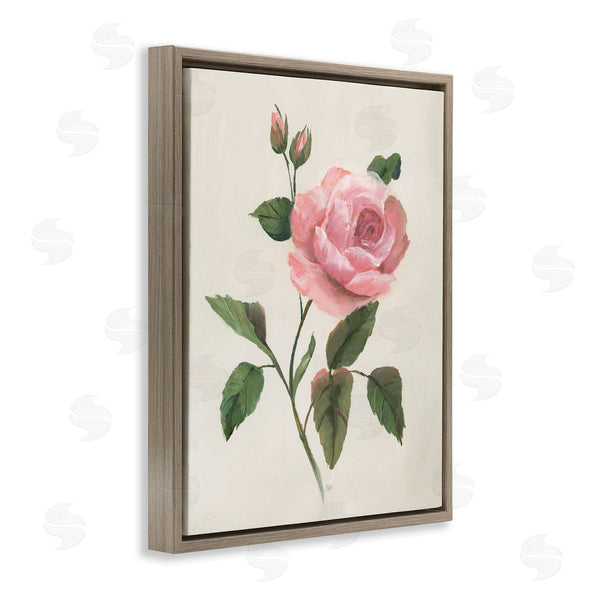 Stupell Industries Nan | Rosie Rose Floral Study