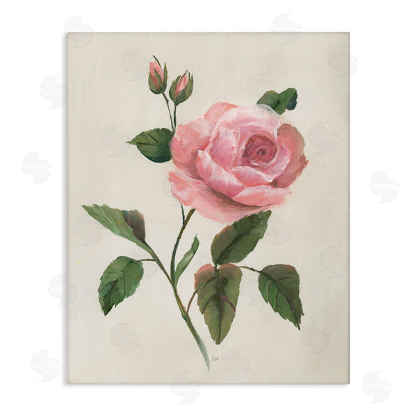 stupell industries Nan | Rosie Rose Floral Study