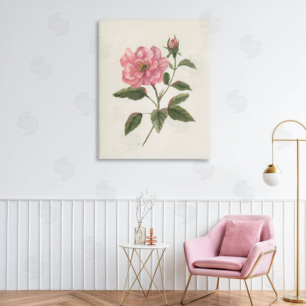 Stupell Industries Nan | Rosie Rose Flower Blossom