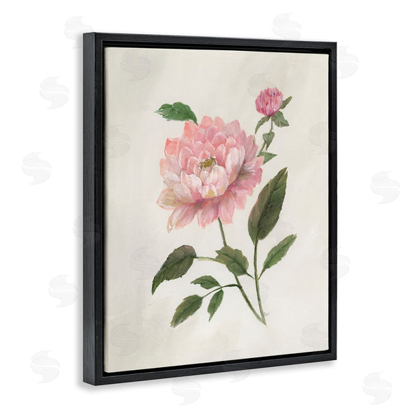 Stupell Industries Nan | Rosie Rose Flower Study