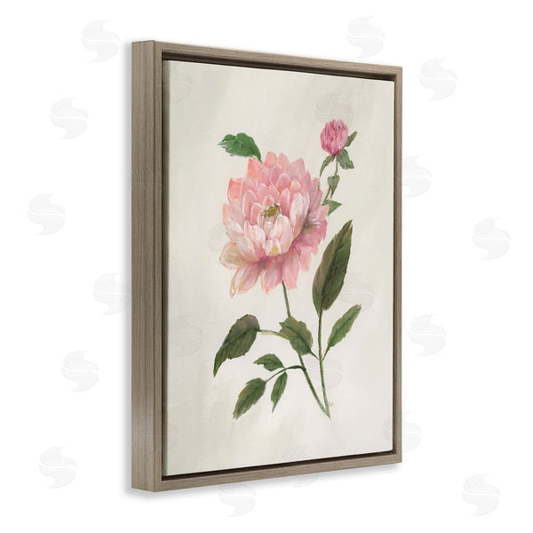 Stupell Industries Nan | Rosie Rose Flower Study