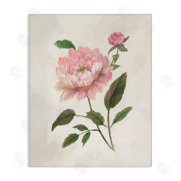 stupell industries Nan | Rosie Rose Flower Study