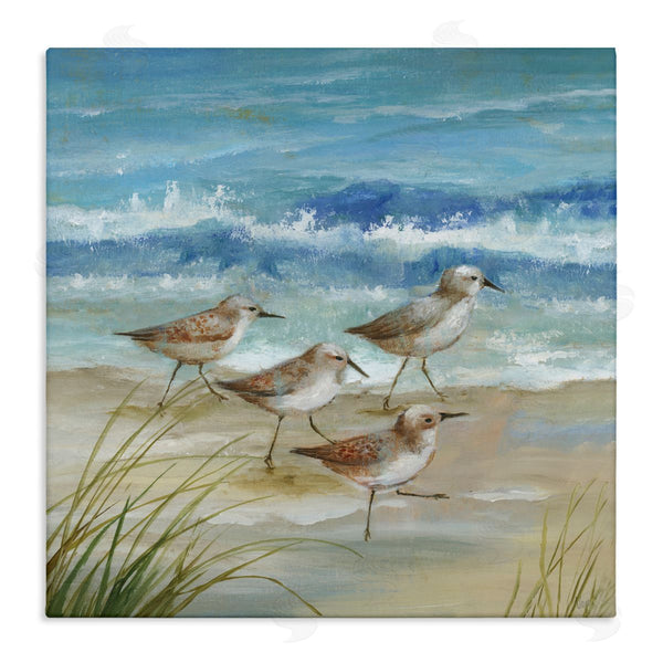 stupell industries Nan | Sandpiper Gathering View