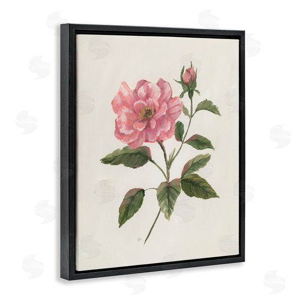 Stupell Industries Nan | Single Pink Carnation Bloom