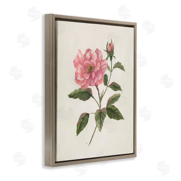 Stupell Industries Nan | Single Pink Carnation Bloom