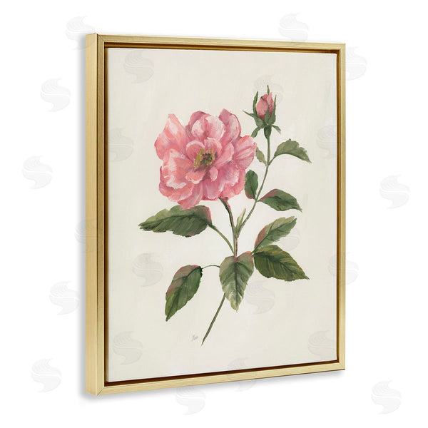 Stupell Industries Nan | Single Pink Carnation Bloom