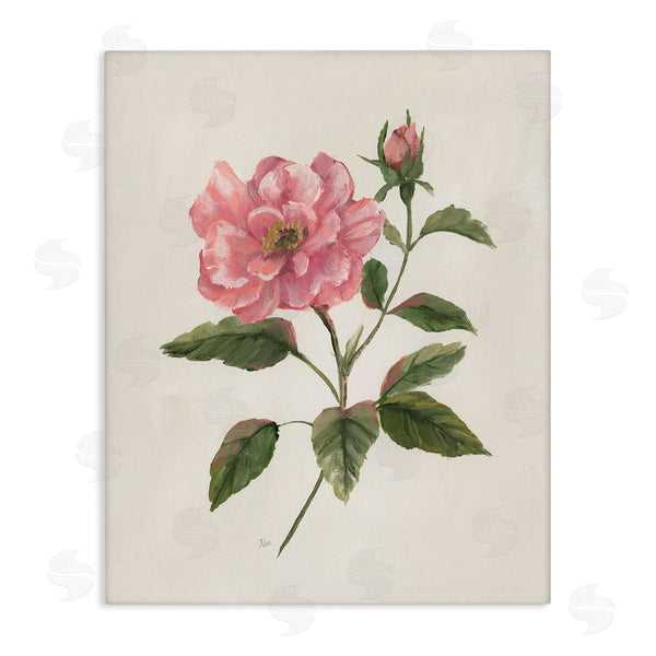 stupell industries Nan | Single Pink Carnation Bloom