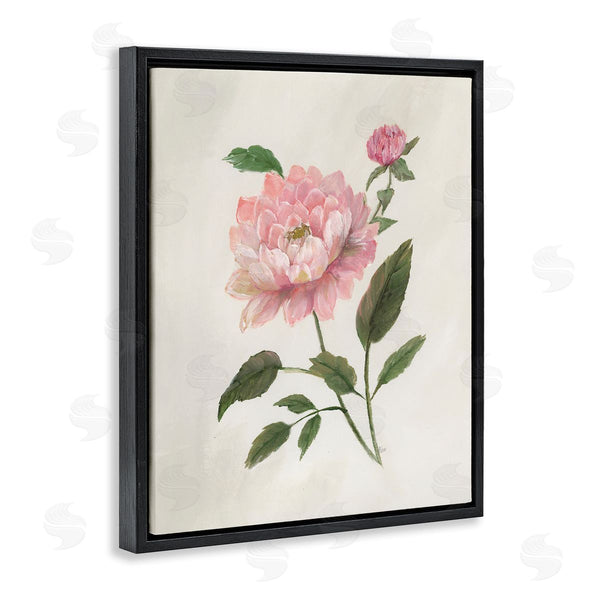 Stupell Industries Nan | Single Pink Dahlia Bloom