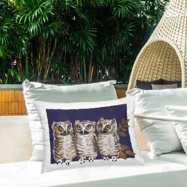 Stupell Industries Nancy Overton | Owl Trio & Leaves