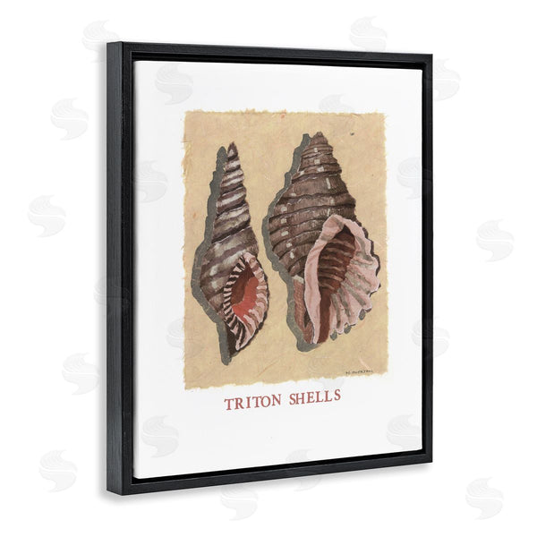 Stupell Industries Nancy Overton | Triton Shell Pair